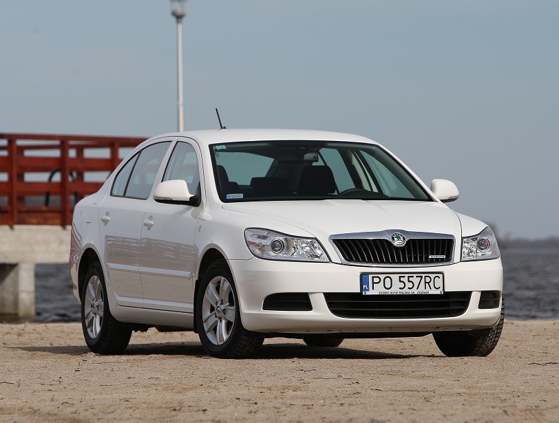 Skoda Octavia jest zdecydowanym liderem sprzedaży - w październiku sprzedano aż 1 564 sztuki.