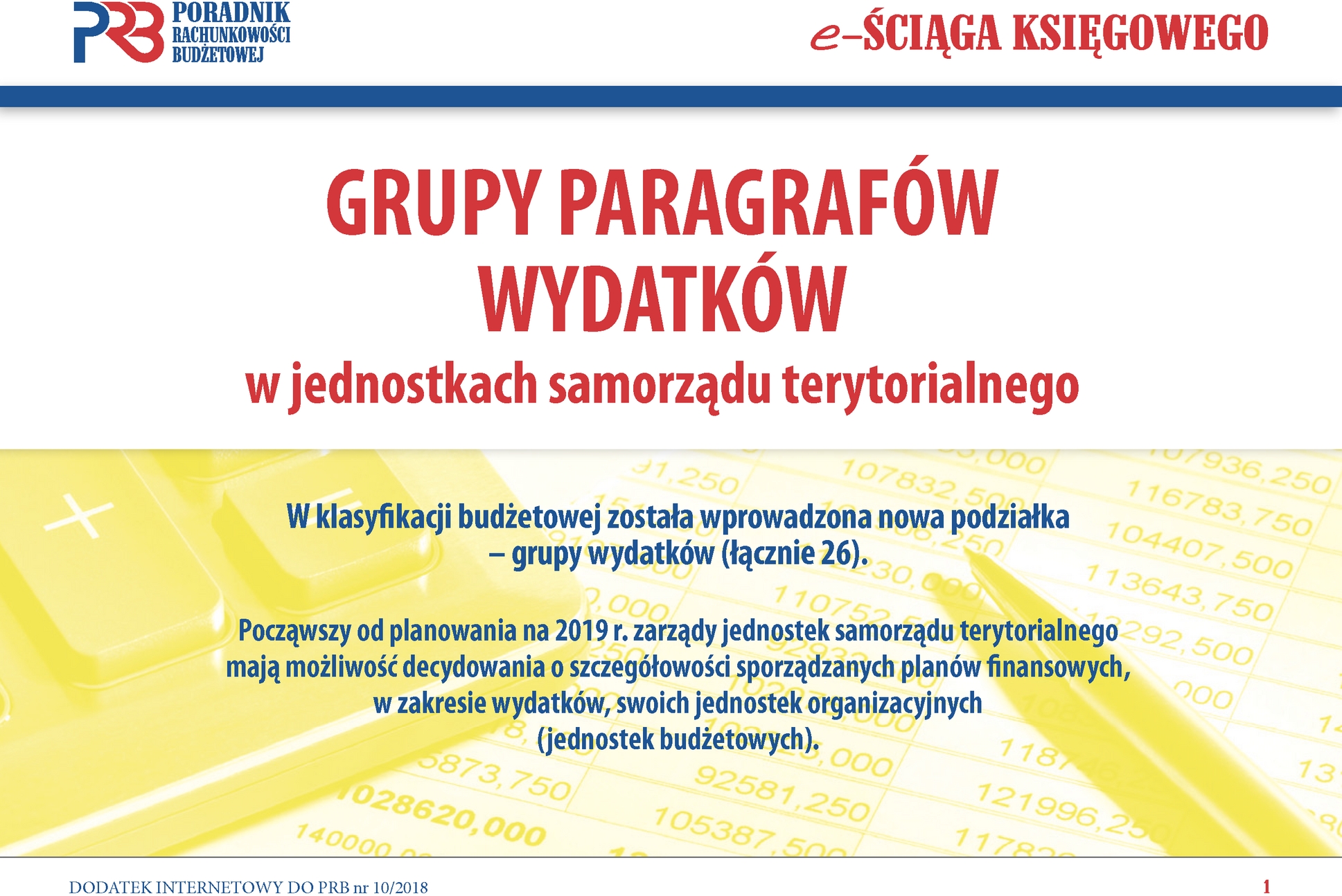 Poradnik Rachunkowości Budżetowej